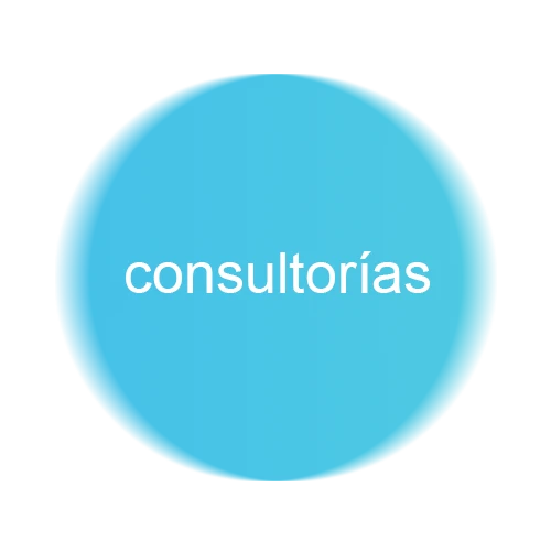 Servicio de Consultorías