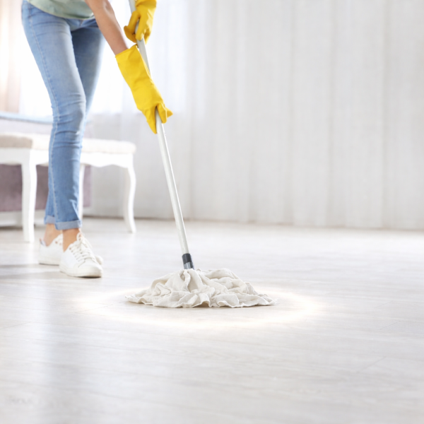 Limpiapisos Aileda